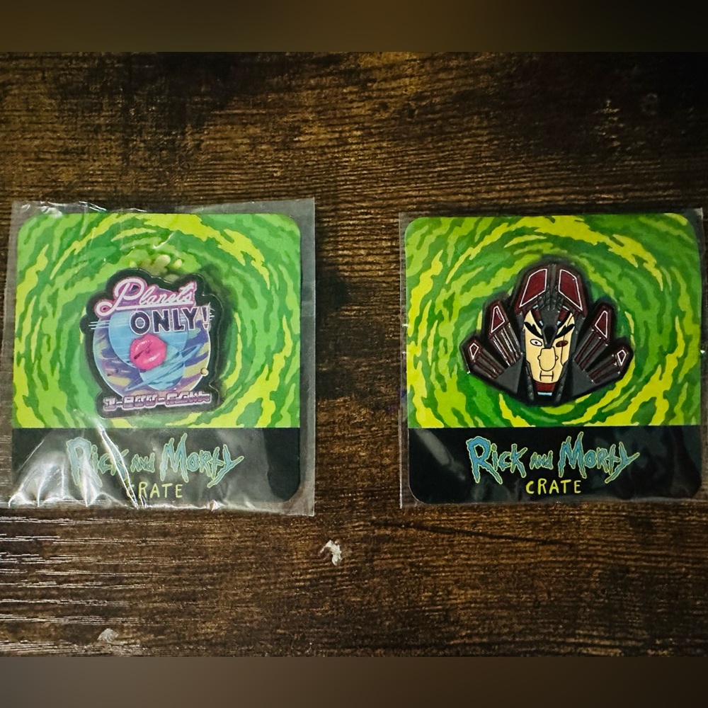 Loot Crate Rick and Morty Pins - NWT